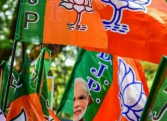 BJP gives Nagaland first woman Rajya Sabha MP: What's the relevance of push for Matri Shakti?