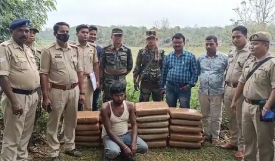 110 KG Dry Cannabis  Seized by Teliamura Police : 1 Arrested, 1 Escaped