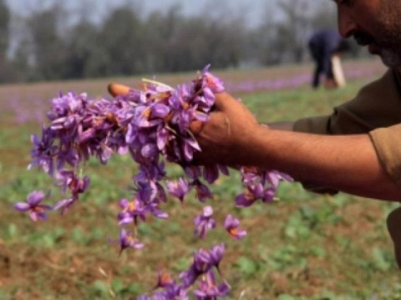 GI tag to J&K saffron and promotion of Kashmiri products