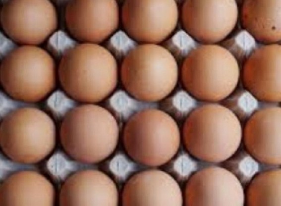 Egg prices soar in TN, farmers blame hike in fodder prices