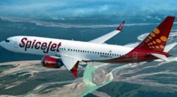 SpiceJet aircraft makes emergency landing in Delhi