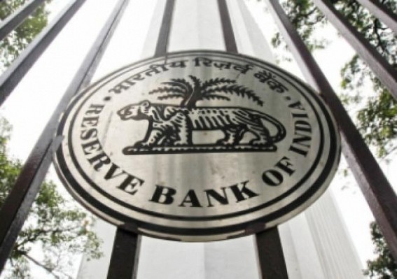 Large borrowers' loan accounts and bad loans decline: RBI