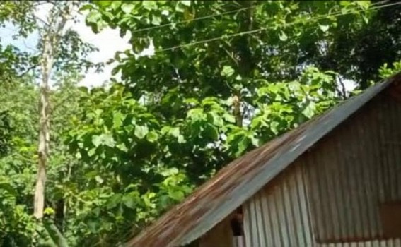 Family living under ‘Life Risk’ due to irresponsibility of Power Department in South Charilam