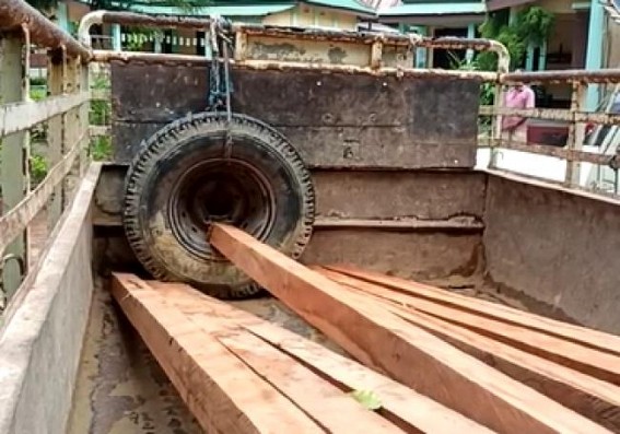 Forest Dept seized smuggled Woods worth Lakhs in Teliamura