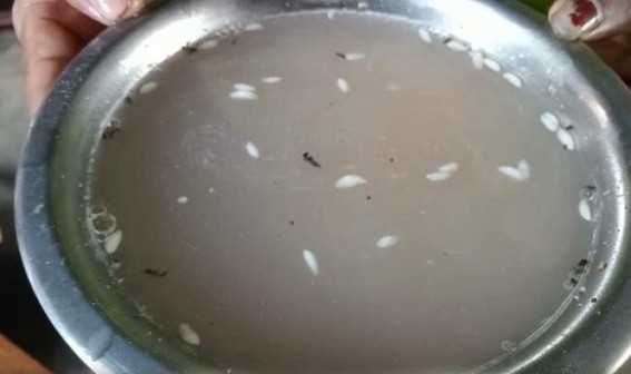 Unhygienic Midday Meal is provided in Rabindranagar Anganwadi Center in Dukli Block