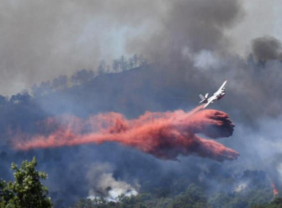 Wildfires burns over 3,200 hectares of land in France