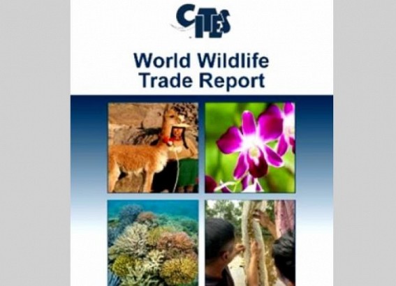 Asia, Europe top global wildlife trade regions: CITES first-ever report