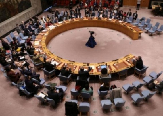 UN Security Council hails signing of political framework deal in Sudan