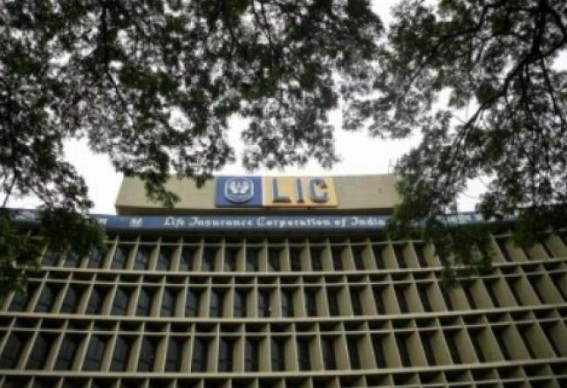 Combination of factors behind LIC share price going up: Experts