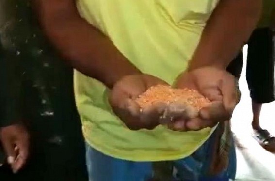 Rice full of Insects allocated in Tripura ADC and Rural schools
