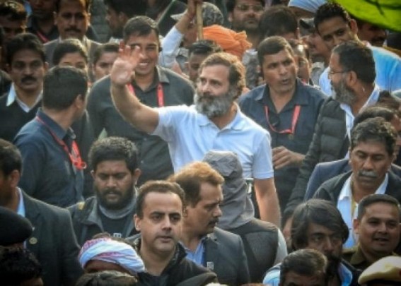 Rahul Gandhi violated security rules 113 times: CRPF