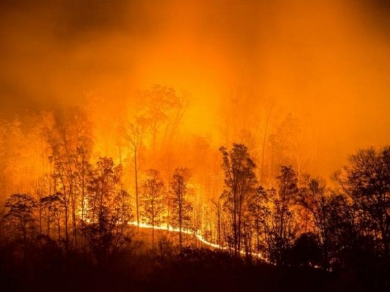 Fire in US southern state forces thousands to evacuate