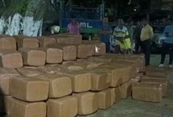 2100 kg Cannabis recovered after 1190 kg from Hawai Bari Checking Point under Teliamura PS