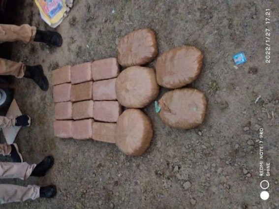 Hailakandi: Huge amount of Cannabis recovered by Police from an auto, 2 detained 
