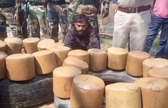 135 Kg dry cannabis recovered from 12 wheelers in Teliamura