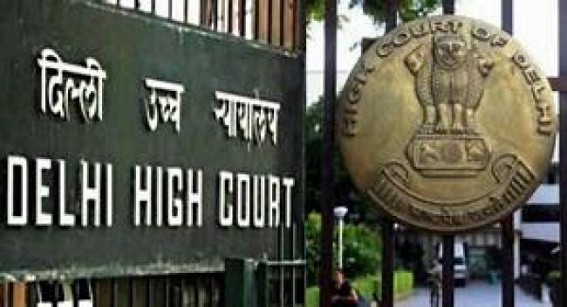 Delhi HC bars feeding stray animals inside court complex