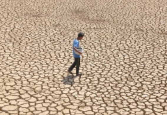 Drought causes over $1bn production losses in Uruguay