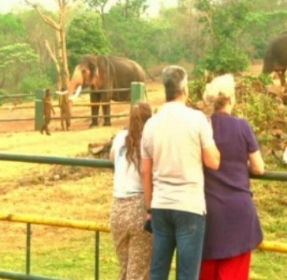Tourists flock to Theppakadu after Oscar for 'The Elephant Whisperers'