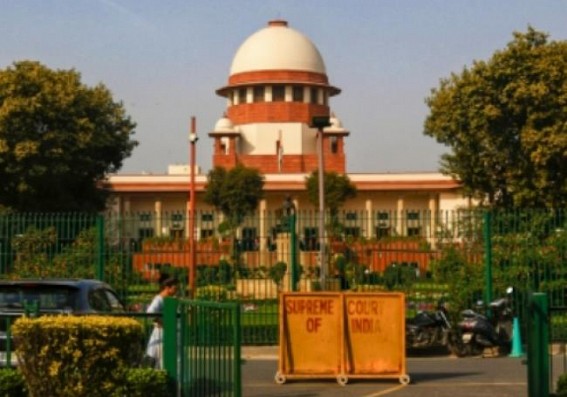 'Tender apology, be more responsible': SC to lawyer claiming attack on migrant workers in TN