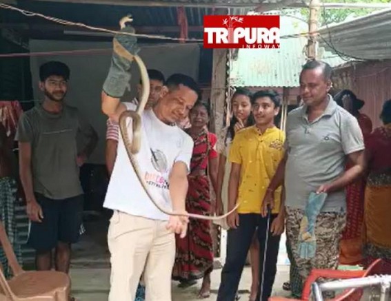 7 Ft Long, Poisonous Snake Recovered by Forest Dept at Salbagan