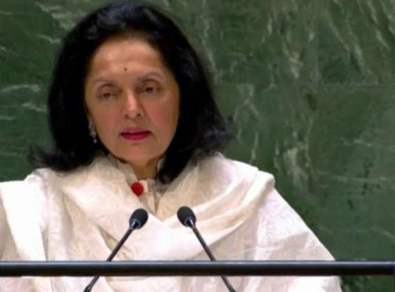 India offers Pakistan 'utmost sympathy' for its ignorance, non-comprehension of peace culture