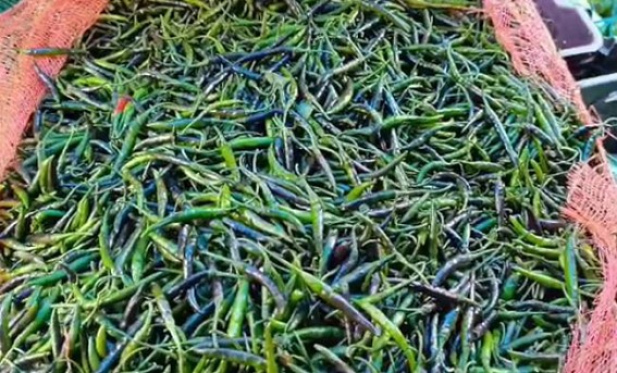 ‘Chilli prices will down soon’ : Food Dept