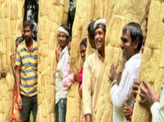 Roping in affordable tech, loan support can bring natural fibres to life in Karnataka