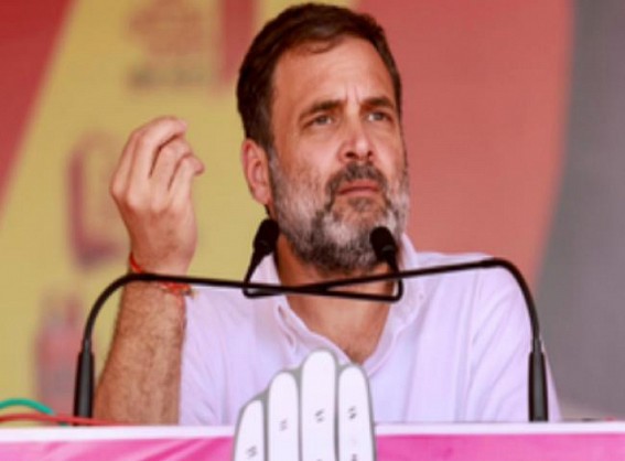 Cong's guarantees in Rajasthan have solution to every problem, says Rahul