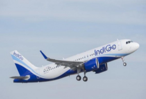 IndiGo introduces AI chatbot with GPT-4 technology for queries, ticket booking