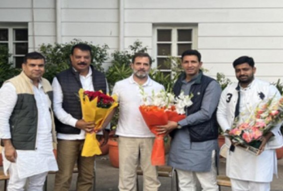 Rahul Gandhi meets newly appointed MP Congress Chief, CLP & deputy leader