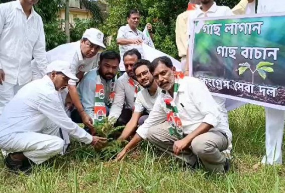Congress Organized Plantation Drive in Agartala