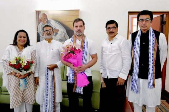 Tripura Congress Leaders met Rahul Gandhi