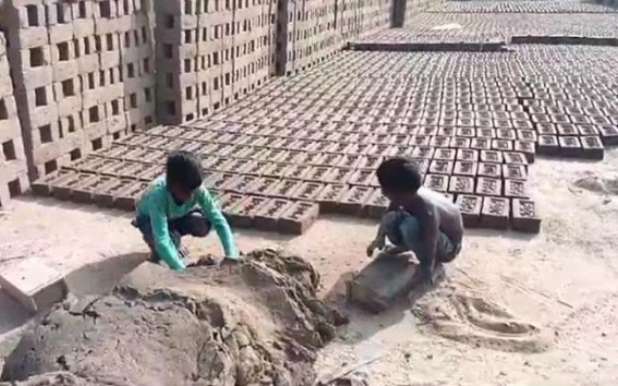 Child labour in full swing in Sabroom Brick Factory