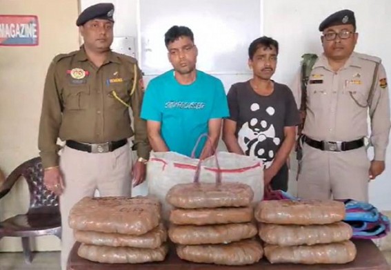 East Agartala Police arrested two with dry 10 KG dry Ganja
