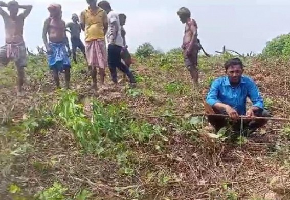 Miscreants destroyed rubber garden in Maheshpur