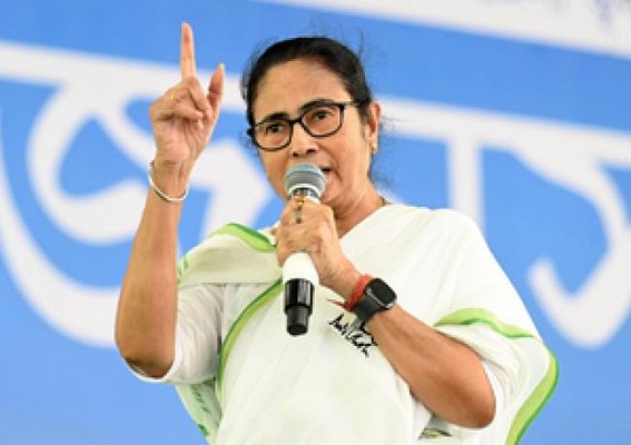 Narendra Modi can't see Bengal’s development out of jealousy: Mamata Banerjee