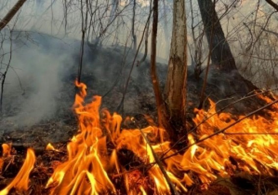 Wildfire forces 1,200 people to evacuate in California