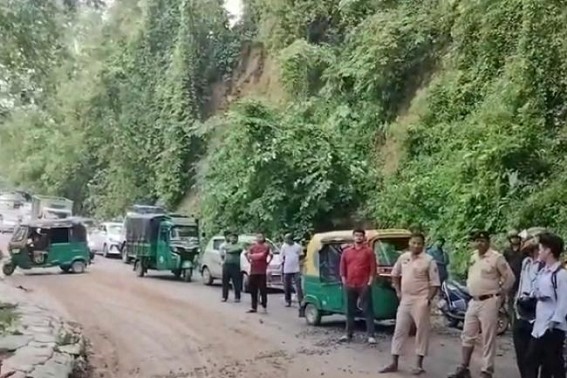 National Highway was closed for 2-hrs after Trees Collapsed ; Ambulance Stuck