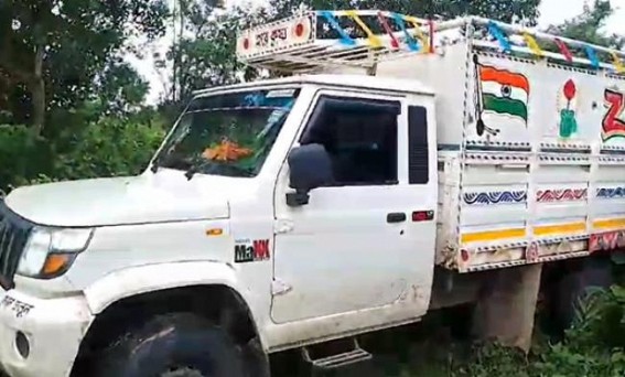 Vehicle loaded with 27 Cows seized ; 3 Cows found Dead