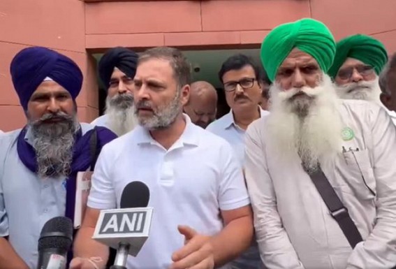 Farmer Leaders met Rahul Gandhi over legal guarantee for the Minimum Support Price (MSP) demand