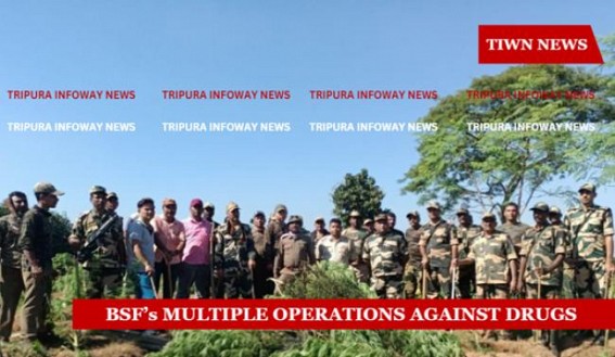 BSF's Actions against Illegal Happenings : Apprehends 2 Bangladeshi nationals, Yaba tabs seized, Ganja Plants destroyed