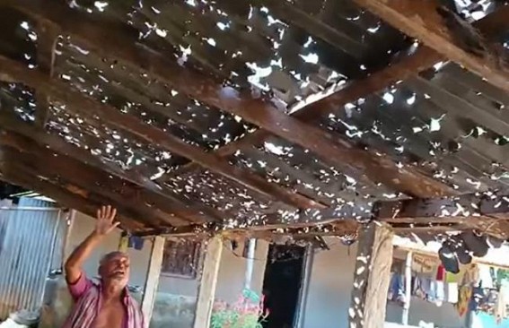 75 Years Old Man took Shelter in neighbour’s home as Hailstorm damaged home
