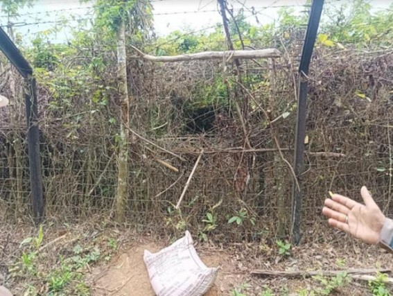 BSF firing Killed a Bangladeshi Smuggler in Tripura Border side