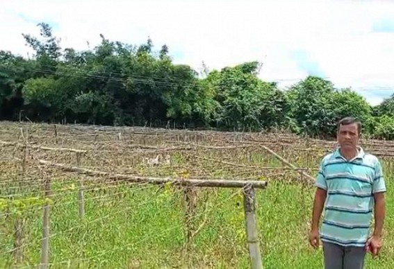 Farmers left devastated in the most productive areas in Charilam