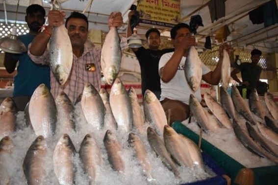 Hilsa Fish arrive in markets ahead of Poyla Boishakh with skyrocketing price Rs. 1,800 per kilo