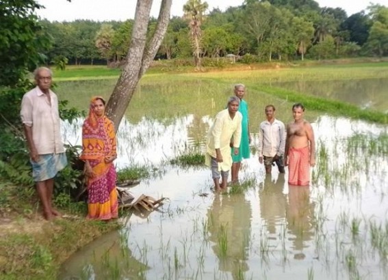 Various flood affected areas remained water-logged in Tripura ; Farmers remain helpless