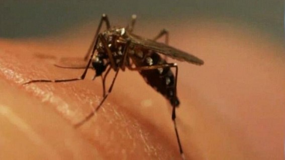 2 Deaths due to West Nile virus 