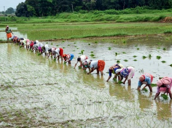 India-UK FTA opens $37.5 billion market for India’s farmers, more jobs for youths