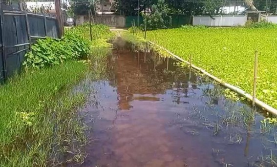 Waterlogging Woes in Kumaraghat: 25 Families Stranded, Health Risks Mount