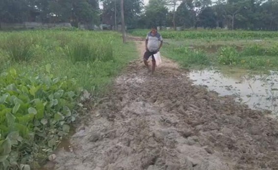 Residents Demand Road Construction Amidst Election Promises